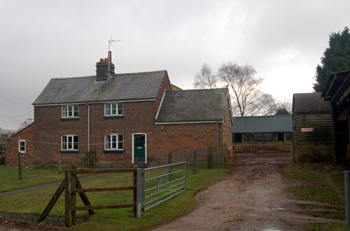 Green Farm February 2010